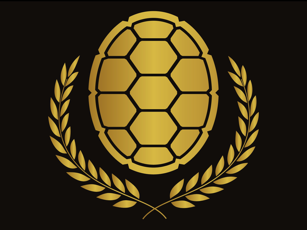 honors and awards graphic